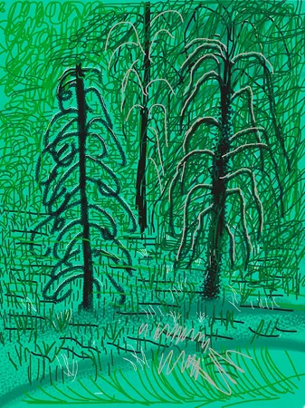 数码版画 Hockney - Yosemite No.16