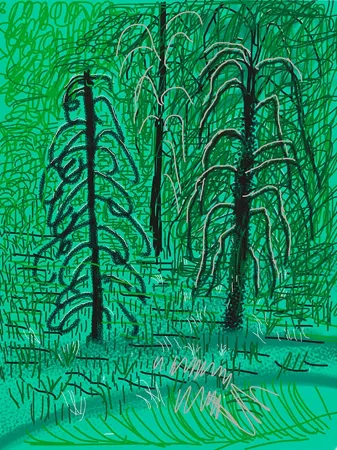 复数作品 Hockney - Yosemite No.16