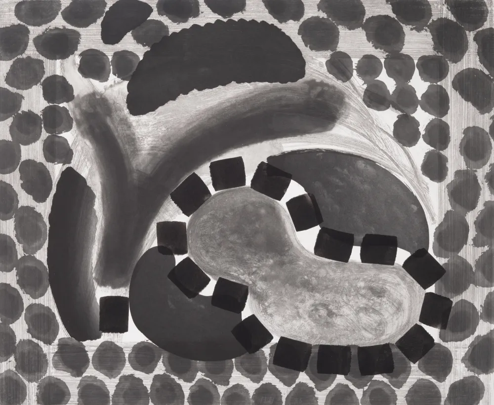 复数作品 Hodgkin - David's Pool at Night