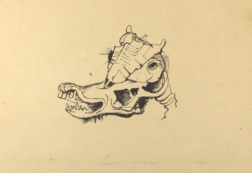 石版画 Hofer - Pferdeschädel / Horse Skull