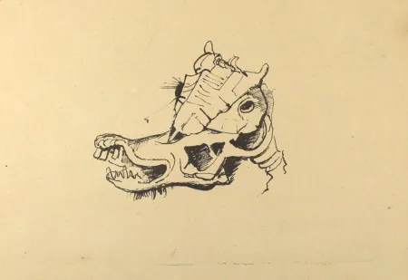 石版画 Hofer - Pferdeschädel / Horse Skull