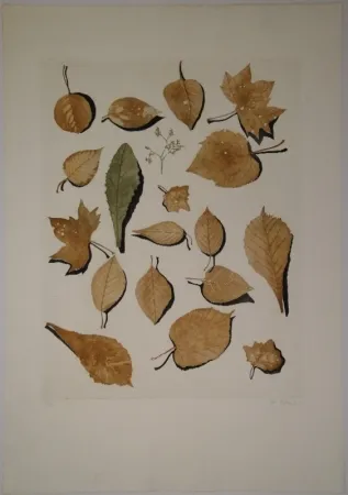 蚀刻飞尘法 Hofkunst - (Welke Laubblätter)