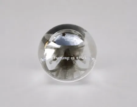 复数作品 Holzer - The future is stupid