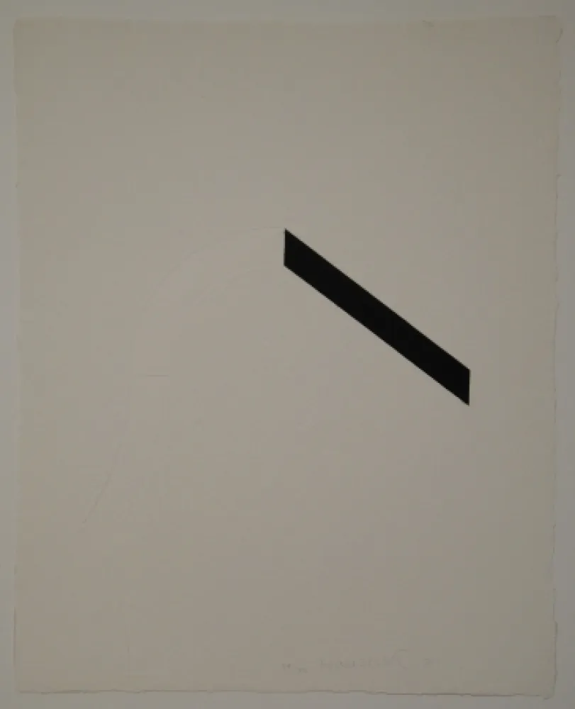 飞尘腐蚀法 Honegger - Structures II