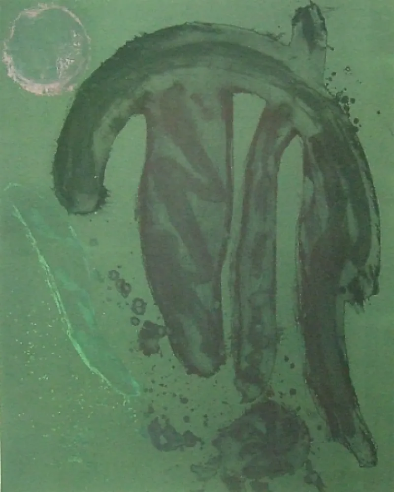 蚀刻飞尘法 Hoyland - La manga