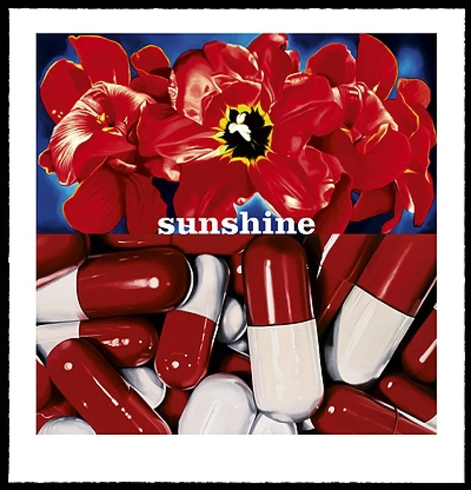 丝网印刷 Huart - Sunshine Daydream