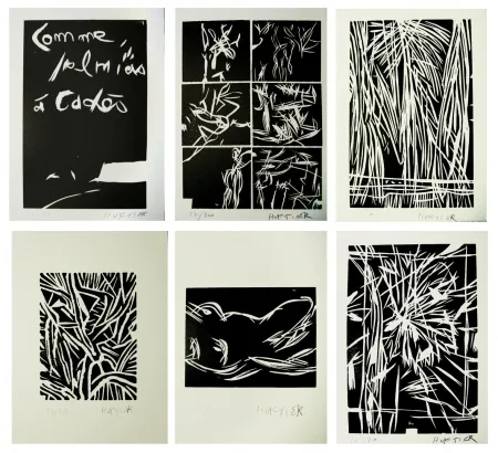 插图书 Huftier - Comme Palmiers à Cadès