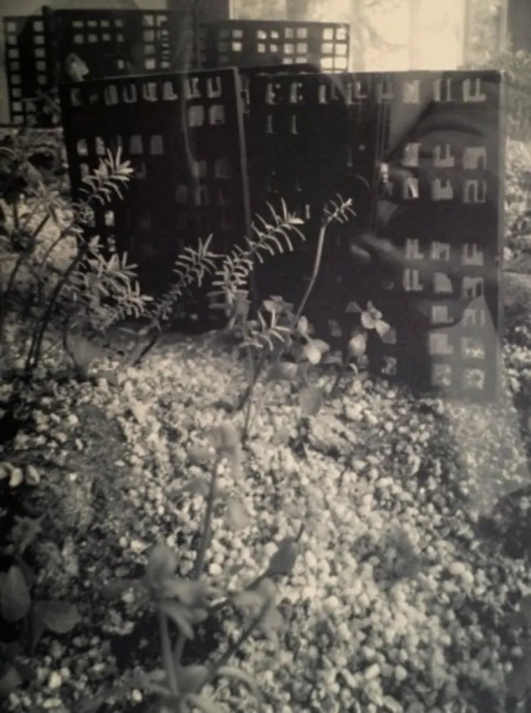 摄影 Iglesias - Aquarium II, 2