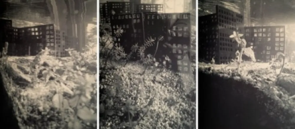 复数作品 Iglesias - Aquarium II