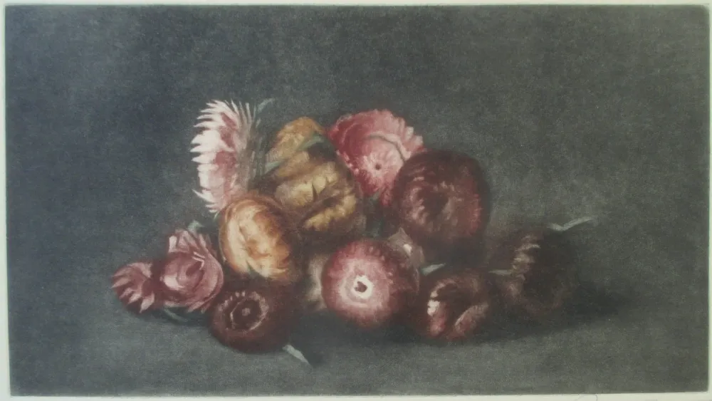美柔汀铜版画 Ilsted - Cudweed