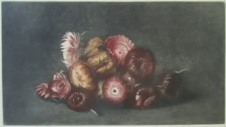 美柔汀铜版画 Ilsted - Cudweed
