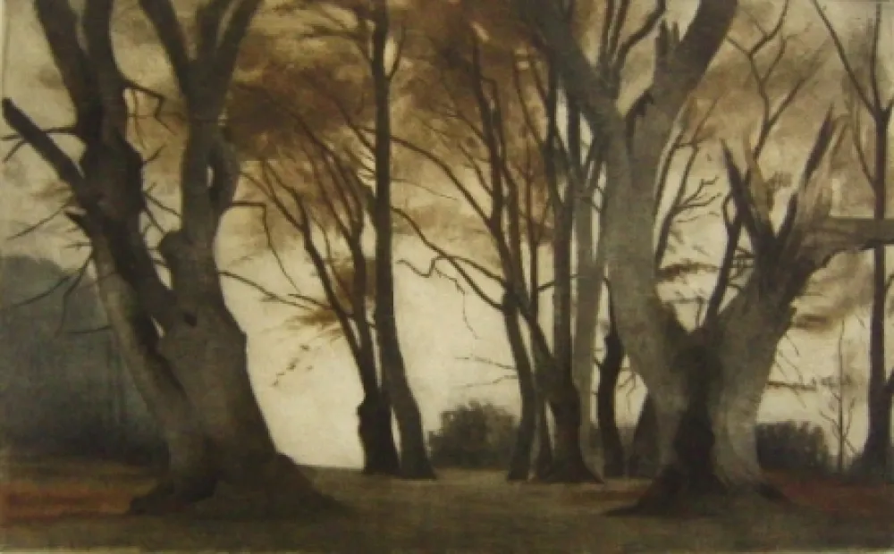 美柔汀铜版画 Ilsted - Trees in Elmelunden