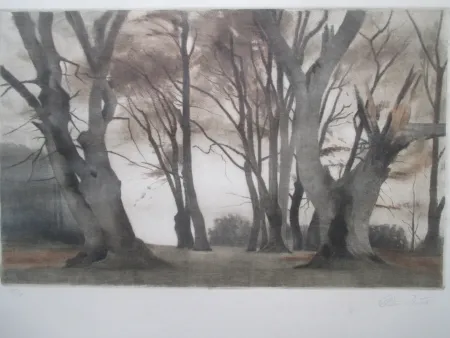 美柔汀铜版画 Ilsted - Trees in Ermelunden