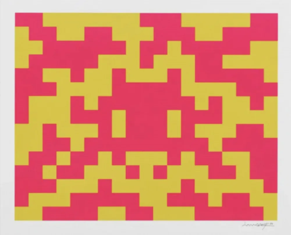 丝网印刷 Invader - Camo M-2C-M1