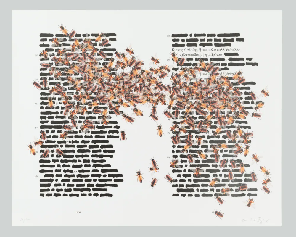 胶版印刷 Isgro - L'Odissea cancellata