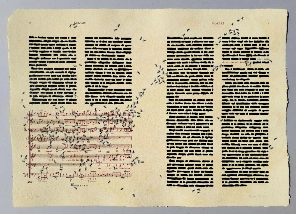 丝网印刷 Isgro - Mozart