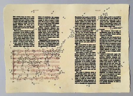 丝网印刷 Isgro - Mozart