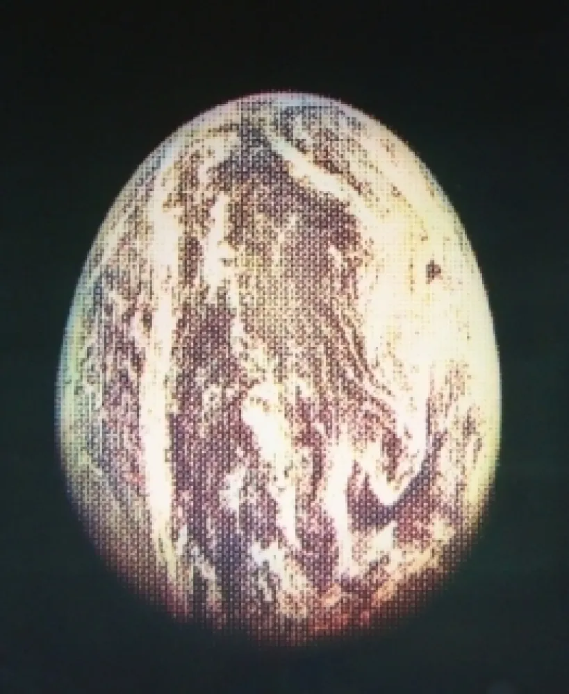 蚀刻飞尘法 Jacquet - L'oeuf