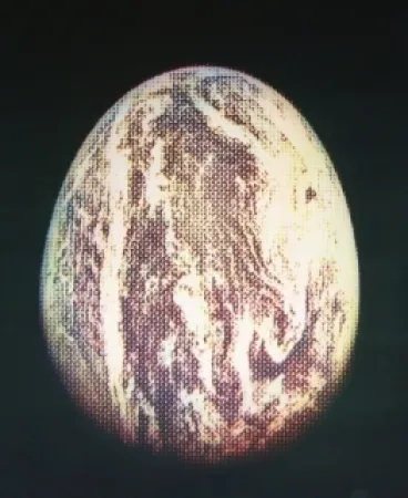 蚀刻飞尘法 Jacquet - L'oeuf