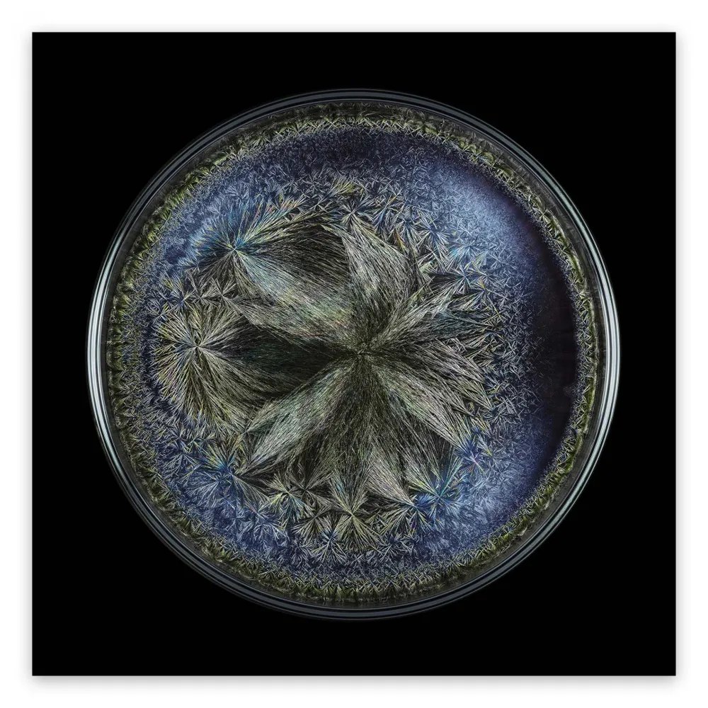 摄影 Janiak - Morphogenetic field - Beluga Caviar