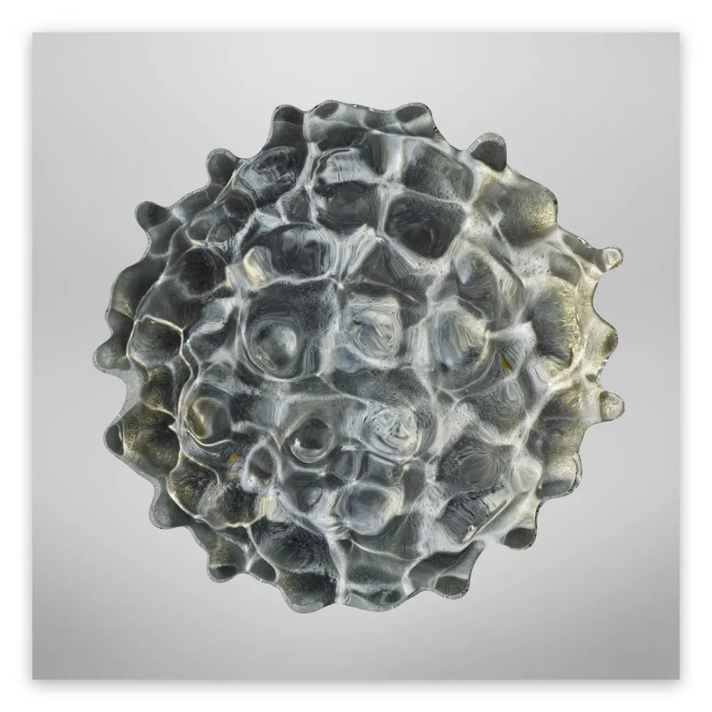 摄影 Janiak - Résonance - water drop 84 (Large)