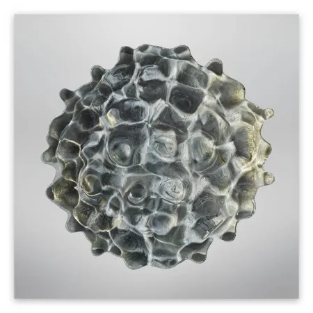 摄影 Janiak - Résonance - water drop 84 (Large)