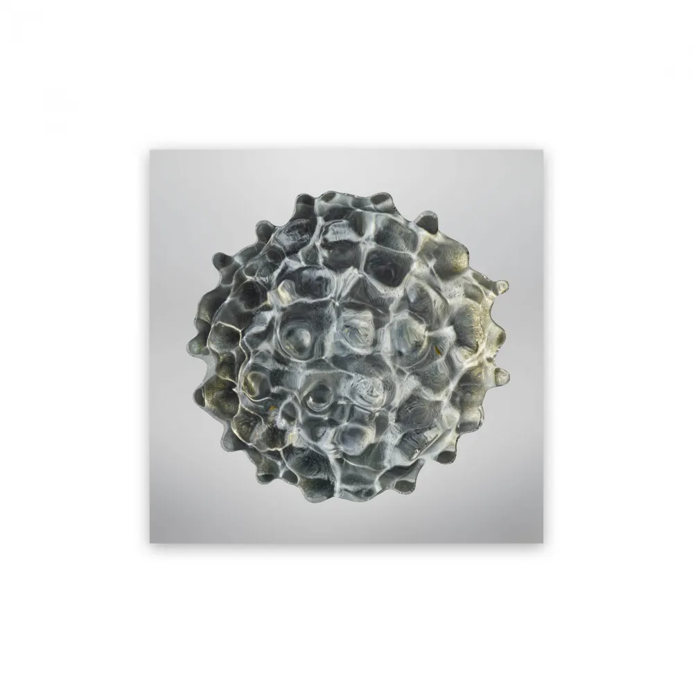 摄影 Janiak - Résonance - water drop 84 (Medium)