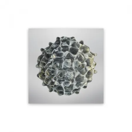 摄影 Janiak - Résonance - water drop 84 (Medium)