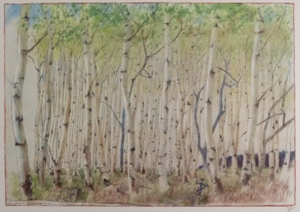 胶版印刷 Janssen - Birkenwald. dem Axel Lebahn für seine Schilderung (p) (k)