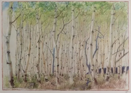 胶版印刷 Janssen - Birkenwald. dem Axel Lebahn für seine Schilderung (p) (k)