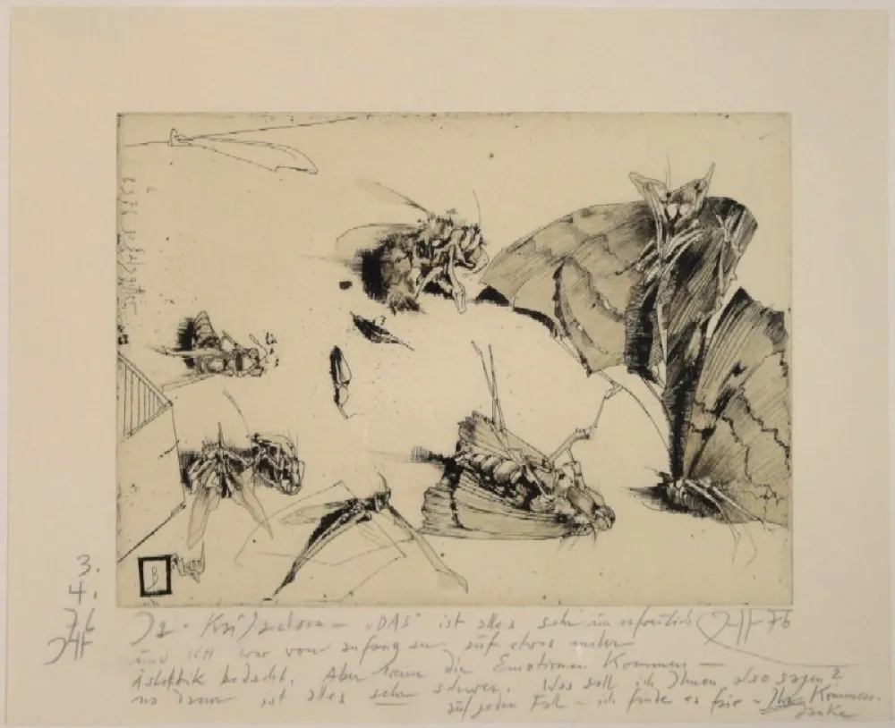 版画 Janssen - (Tote Nachtfalter und Insekten)