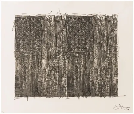 丝网印刷 Johns - Two Flags