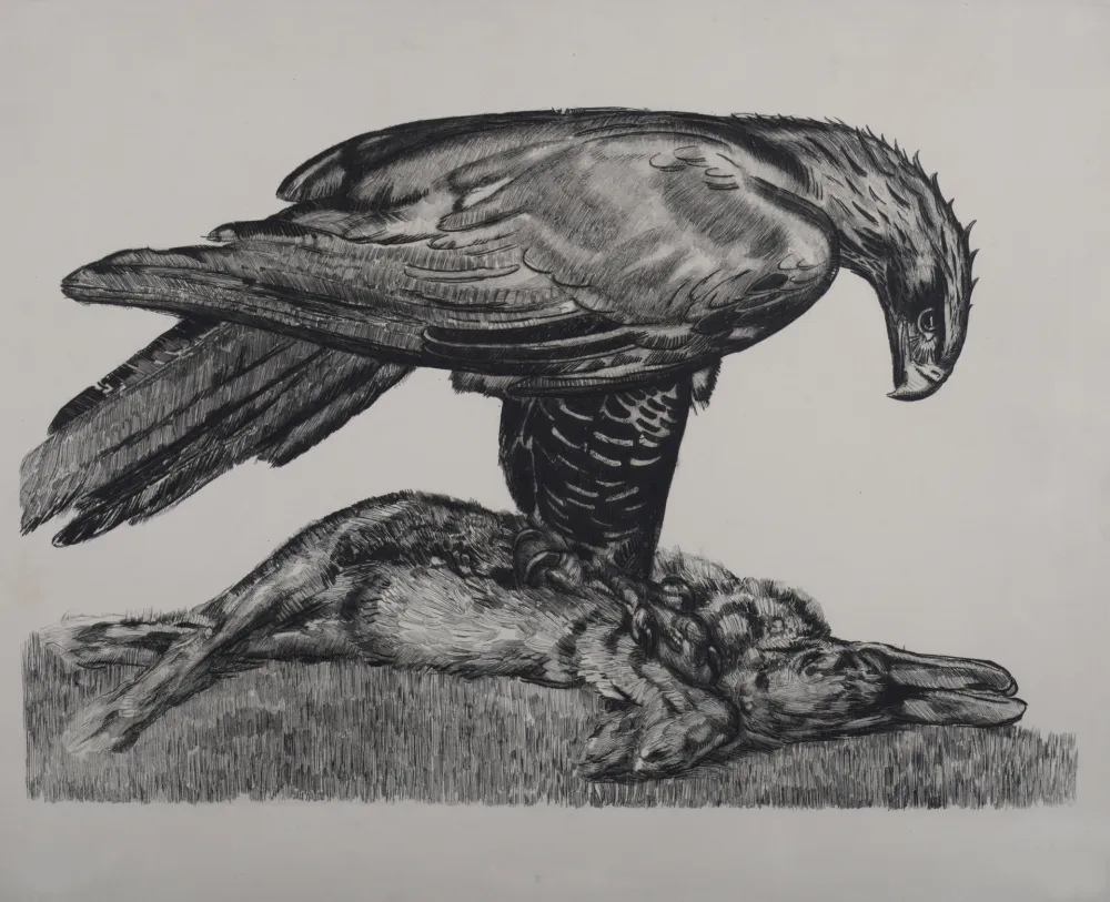 蚀刻版画 Jouve - Aigle enserrant un lièvre, c. 1930 - Deluxe suite!