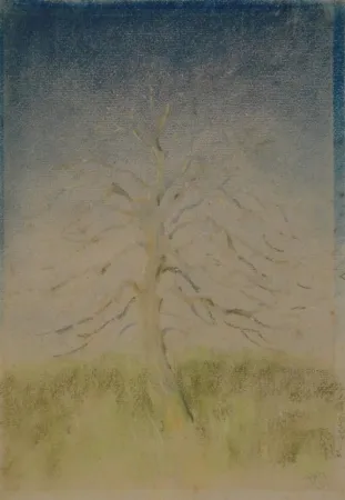 无技术 Junghanns - (Kahler Baum)