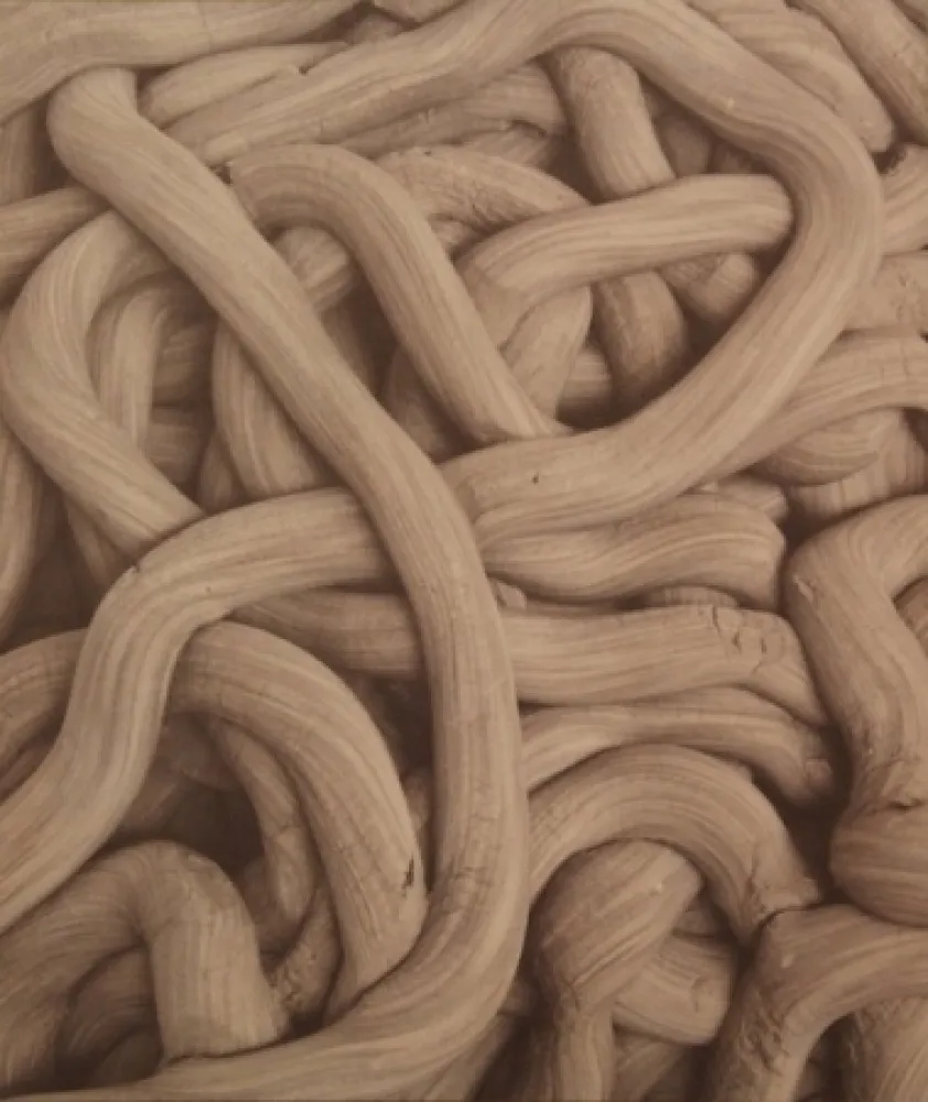 石版画 Kapoor - A Detail of Greyman Cries, Shaman Dies, Billowing Smoke, Beauty Evoked, 2008-2009 