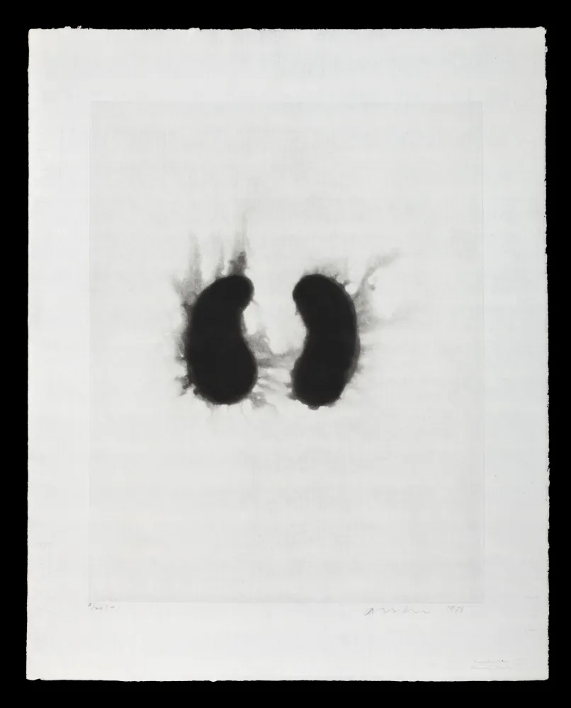 蚀刻飞尘法 Kapoor - Sin titulo