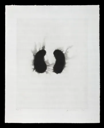 蚀刻飞尘法 Kapoor - Sin titulo