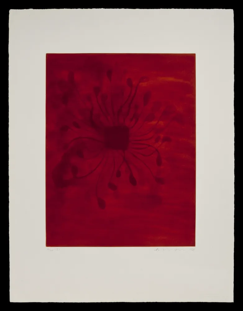 飞尘腐蚀法 Kapoor - S/T