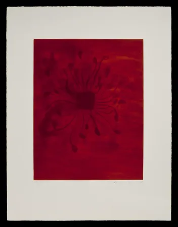 飞尘腐蚀法 Kapoor - S/T