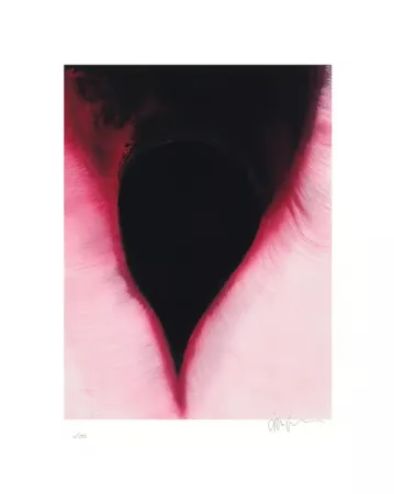 复数作品 Kapoor - The Dark