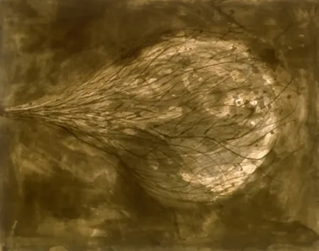 飞尘腐蚀法 Kapoor - Untitled (III)