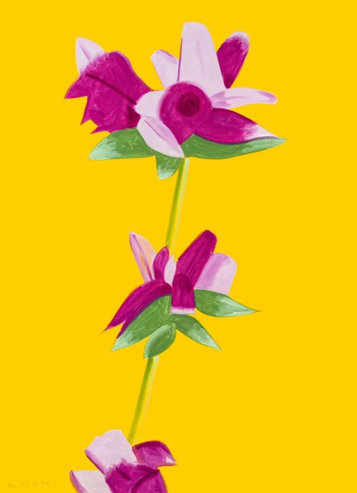 无技术 Katz - Azaleas on Yellow from The Flowers Portfolio