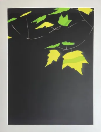 飞尘腐蚀法 Katz - Black Brook