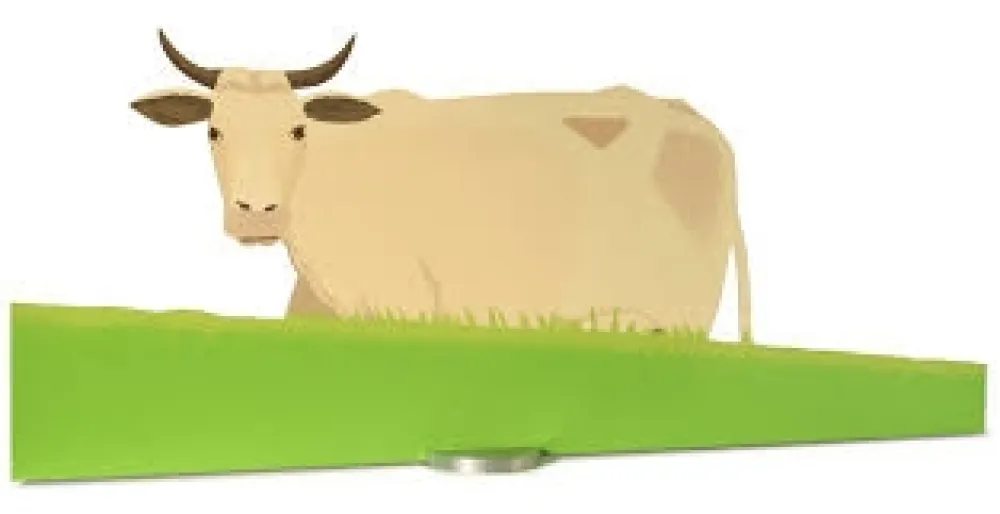 丝网印刷 Katz - Cow