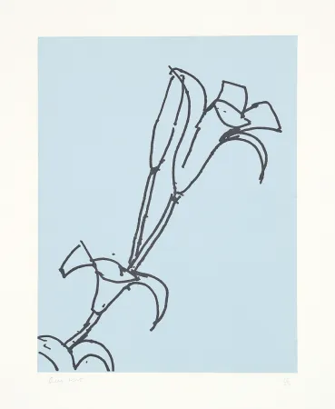 版画 Katz - 