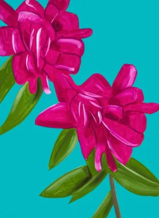 无技术 Katz - Peonies