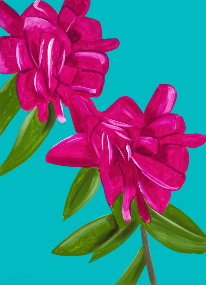 无技术 Katz - Peonies from The Flowers Portfolio