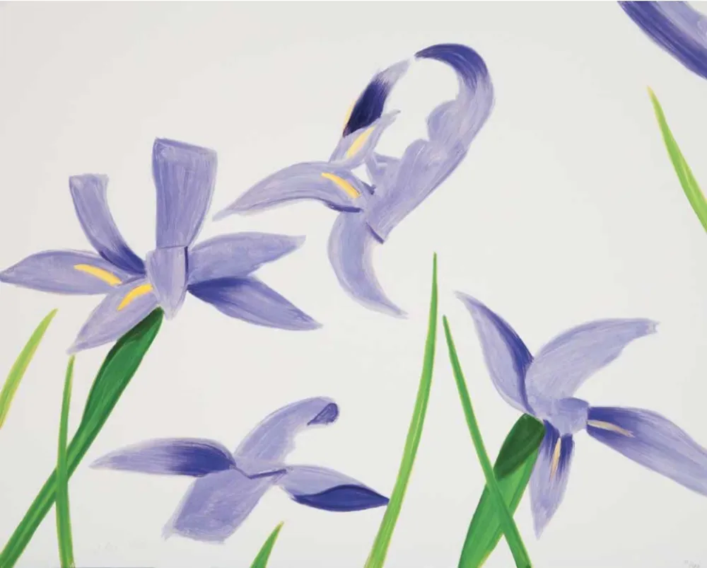 无技术 Katz - Purple Irises on White