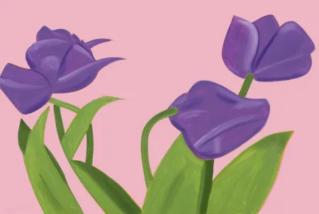 无技术 Katz - Purple Tulips 1 from The Flowers Portfolio