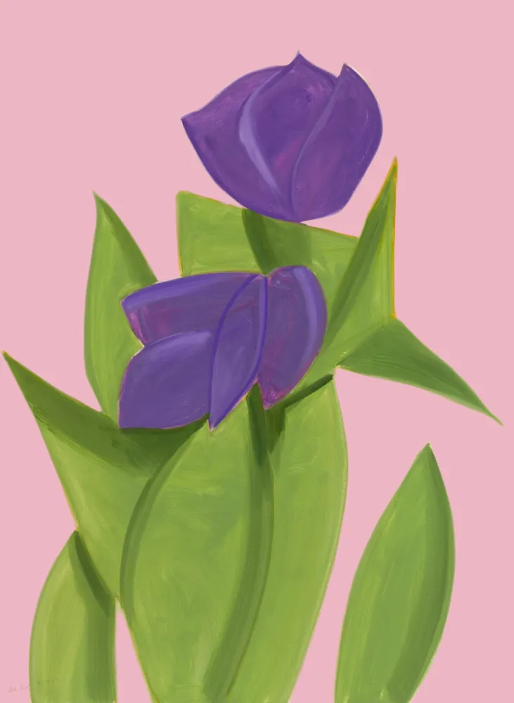 无技术 Katz - Purple Tulips 2 from The Flowers Portfolio
